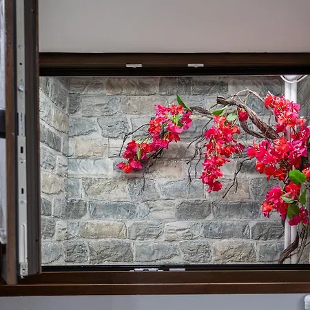 Angels Free Private Parking Of Stayinthess דירה *